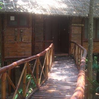 County Tree House  Stays, Wayanad 2